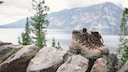 Wanderschuhe