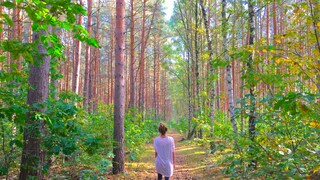 FITBOOK-Autorin beim Waldbaden