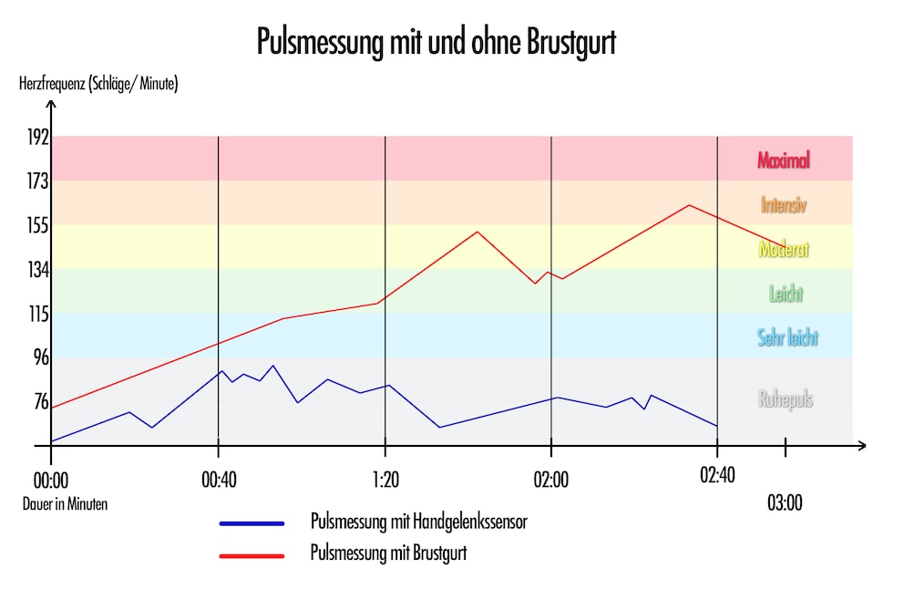  Bei Testperson B weichen die Messergebnisse von Brustgurt und Handgelenkssensor gravierend voneinander ab<br>Grafik: Getty Images