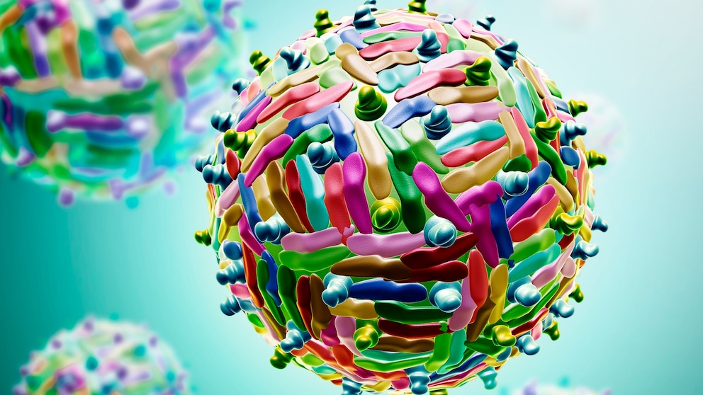 Das West-Nil-Virus hier als Illustration zu sehen