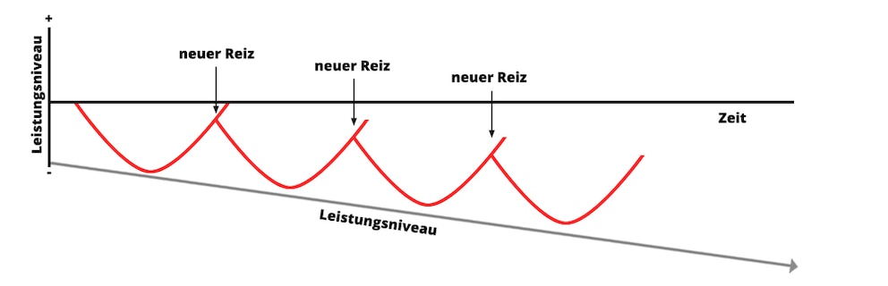 Grafik zur Superkompensation