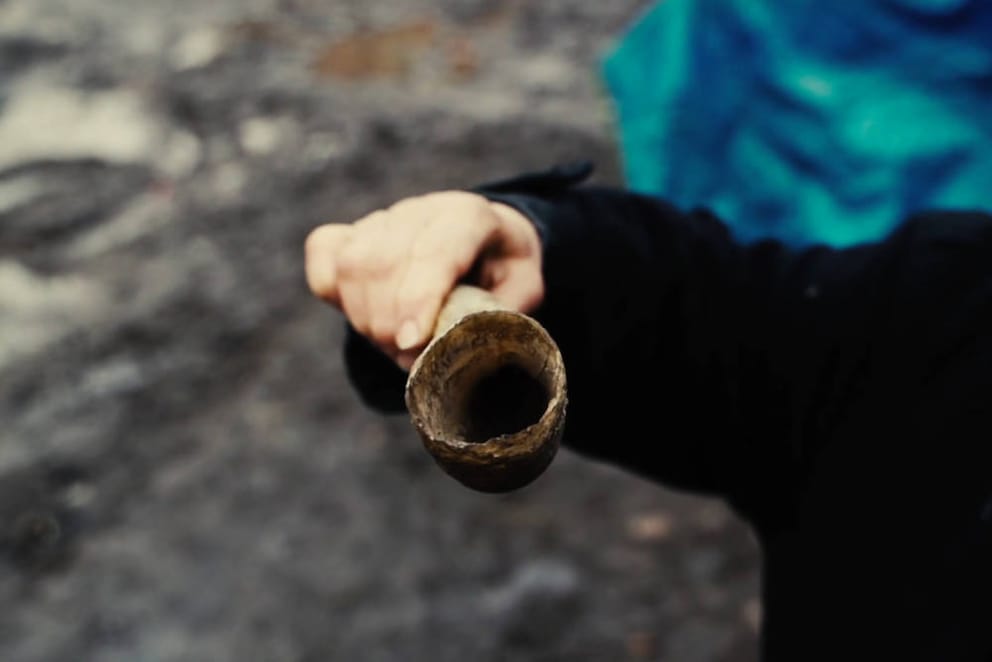 Cow horn filled with manure