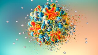 Virus