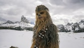 Chewbacca in „Star Wars: Der Aufstieg Skywalkers“