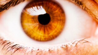 Ein offenes Auge