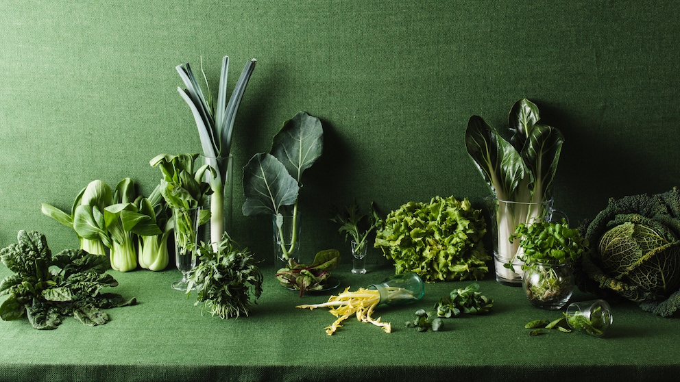 Auswahl grüner Gemüsesorten