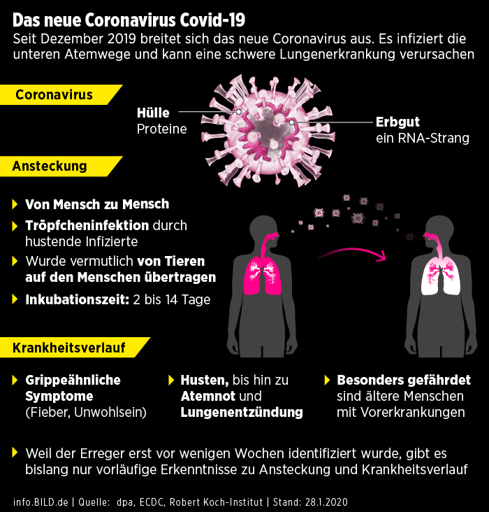 Corona-Infografik, SARS-CoV-2, Covid-19, Sar