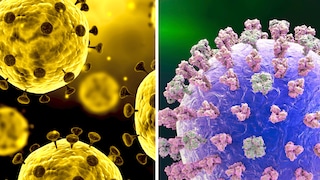 Links der Corona-Virus, rechts der Grippe-Virus