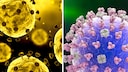 Links der Corona-Virus, rechts der Grippe-Virus