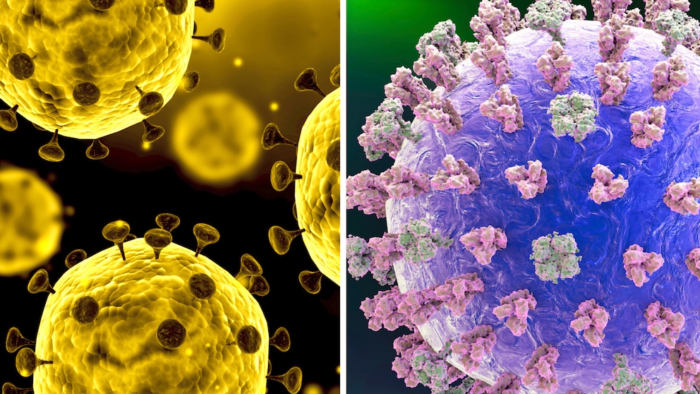 Links der Corona-Virus, rechts der Grippe-Virus