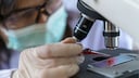 Antikörpertest: Ein Mediziner untersucht eine Blutprobe unter dem Mikroskop
