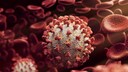 Wenn das Sars-Cov-2-Virus im K&ouml;rper ist, zwingt es dessen Zellen ein Enzym zu produzieren, mit dem es sich schnell vermehren und ausbreiten kann