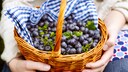 Blaubeeren Darmentzündung