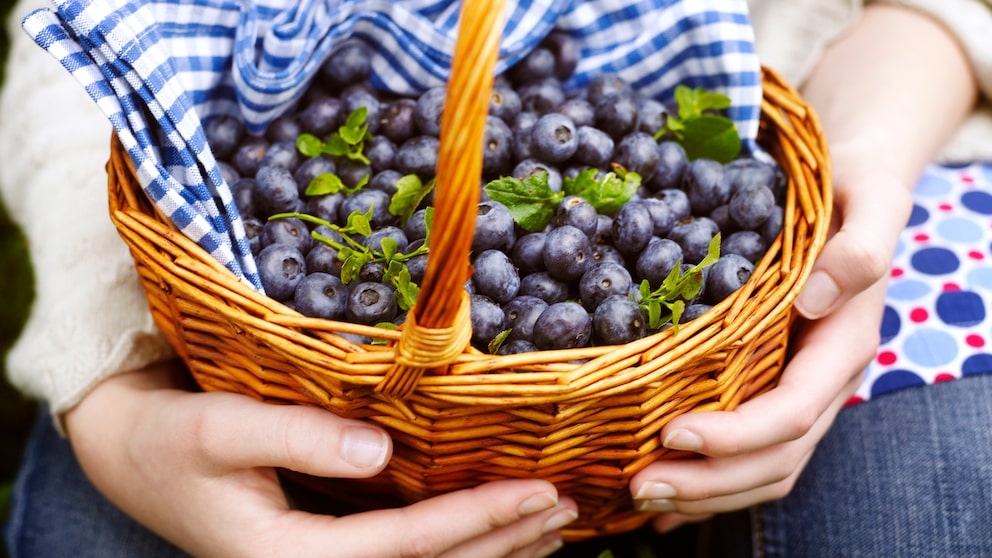 Blaubeeren Darmentzündung