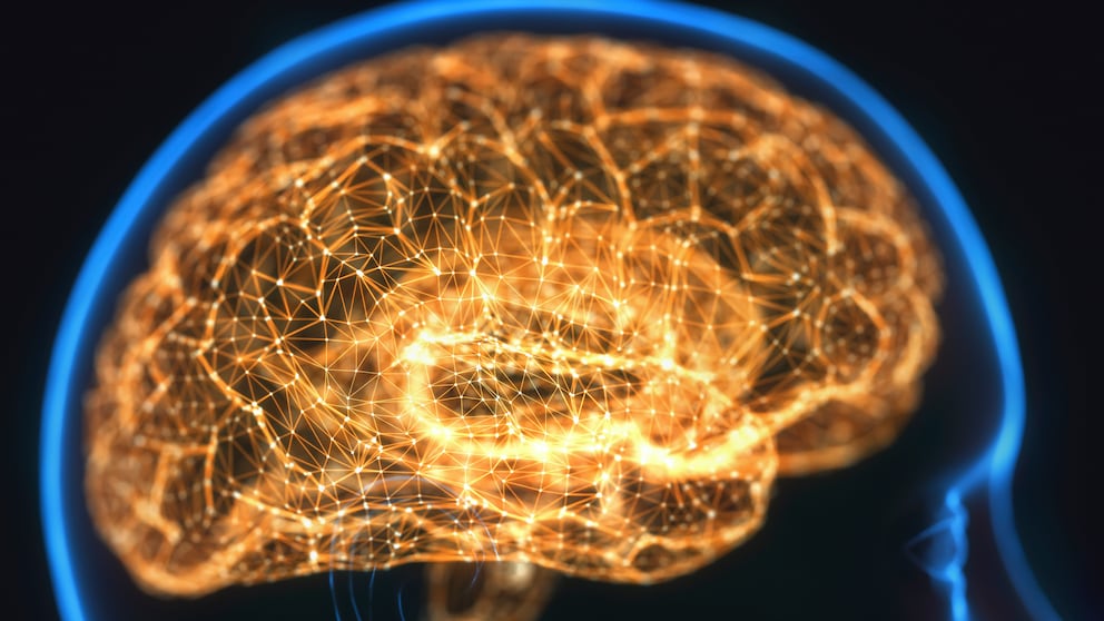 Ultraschall Medikamente: Die Illustration eines menschlichen Gehirns im Querschnitt, das goldgelb leuchtet