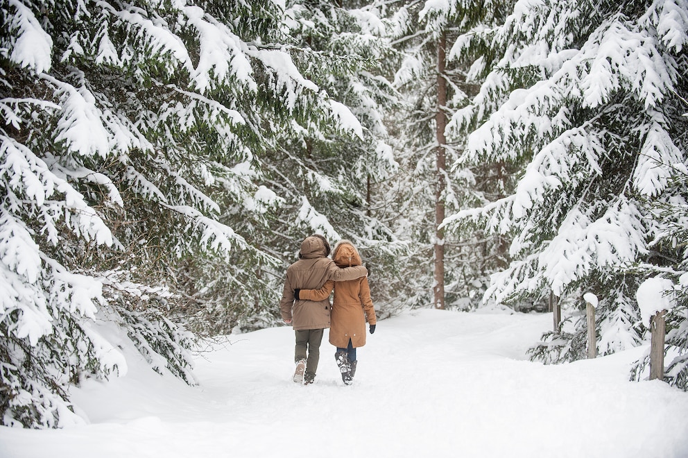 Wenn jeder Atemzug eine Medizineinheit ist: Waldbaden geht auch im Winter