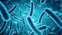 Probiotika und Präbiotika – was ist das und wofür ist das gut?