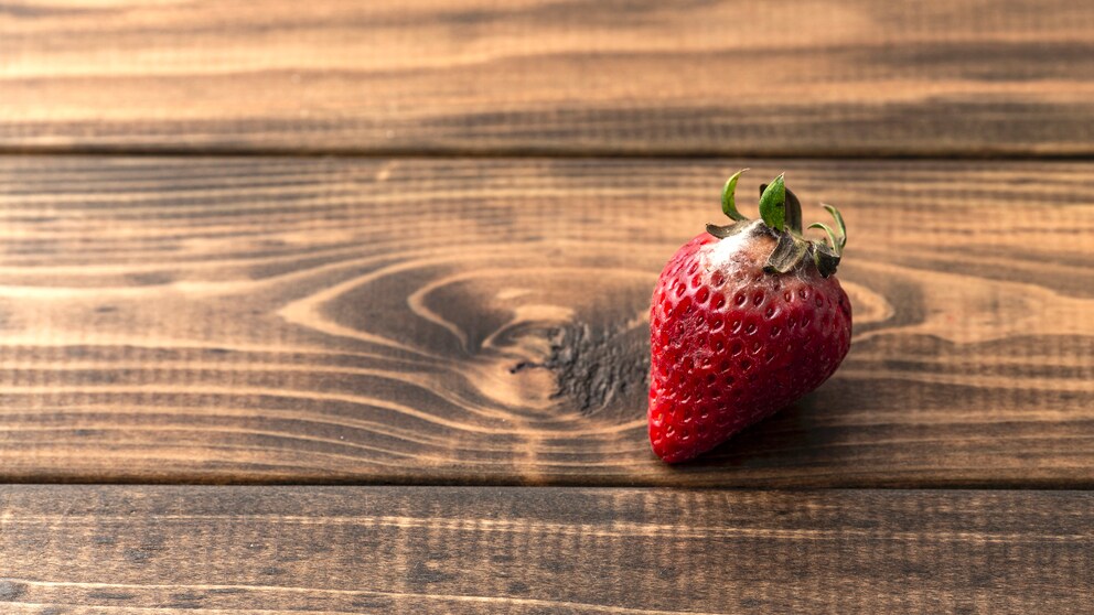 Lebensmittel mit Schimmel – im Foto: eine verdorbene Erdbeere