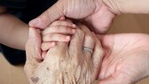 maximale Lebensdauer Mensch: Eine Babyhand, Hände eines Erwachsenen und eine Hand einer älteren Person halten sich