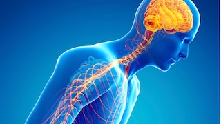 Duftstoff Farnesol gegen Parkinson