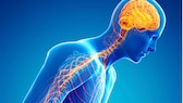 Duftstoff Farnesol gegen Parkinson
