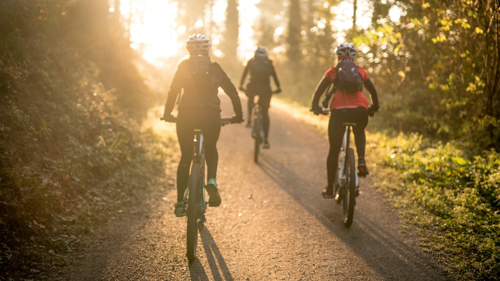 Fahrradfahrer im Wald