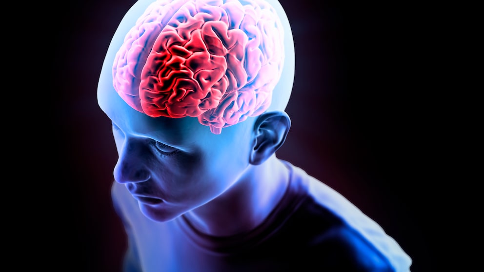 Menschliches Gehirn Computer-Illustration