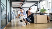 Eine Frau spielt im Büro hockend mit einem Hund, während ihre Kollegin an einem Schreibtisch sitzt