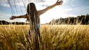Frau steht mitten im Feld mir den Händen in der Luft und schaut gen Sonne.