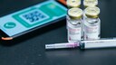 EU-Impfzertifikate neun Monate: Covid-Vakzin und Impfzertifikat