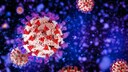 Durch die vielen Mutationen des Omikron können bisherige Antikörper diese Corona-Mutante nicht zuverlässig erkennen und neutralisieren