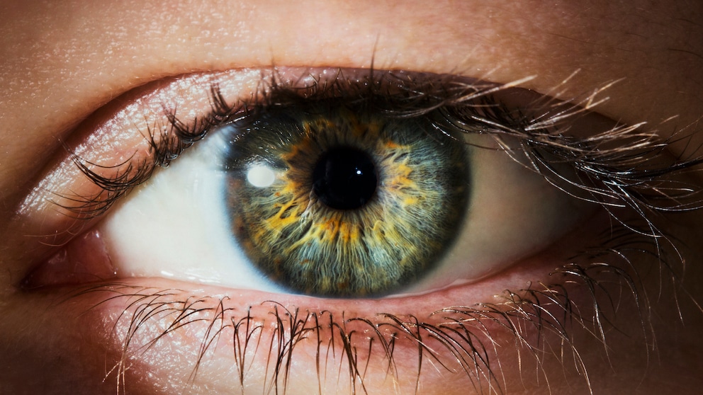 Grauer Star Demenzrisiko: Nahaufnahme eines menschlichen Auges