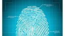 Fingerabdrücke Krankheiten: Computerbild eines Fingerabdrucks