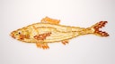 Nahrungsergänzungs-Kapseln in Form eines Fisches ausgelegt