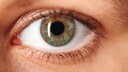 Auge in einer Nahaufnahme