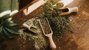 Superfood Trends: Hanfprodukte