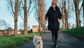 wohnviertel gesundheit: Junge Frau geht im Park mit ihrem Hund Gassi