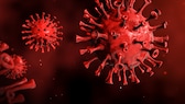 längerer schutz vor corona: Illustration des Coronavirus