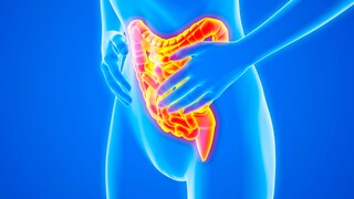 Computerillustration Darm