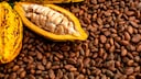 Flavonole Herz-Kreislauf-Erkrankungen: Kakaobohnen