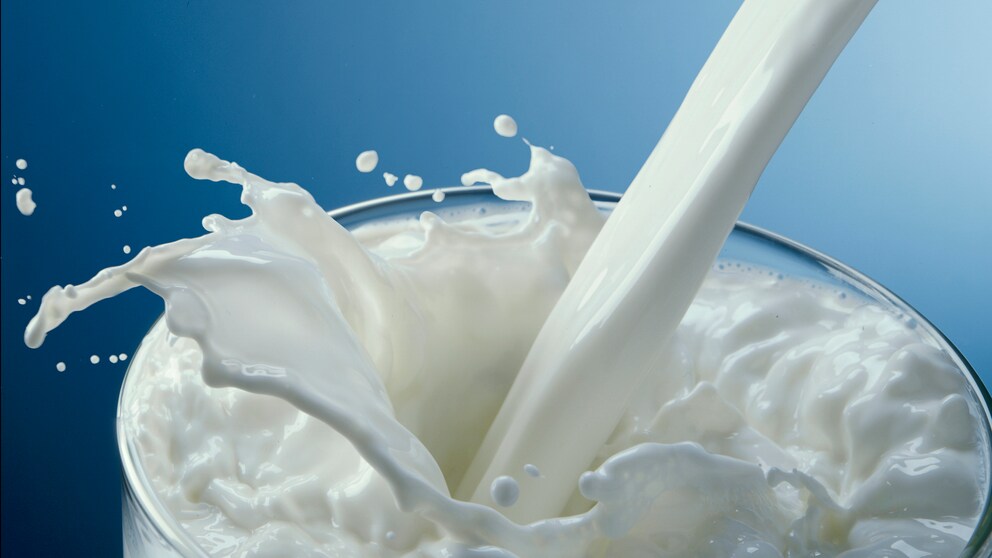 Kuhmilch Covid-Infektion: Milch wird in ein Glas gegossen