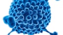 hepatitis kinder: Symbollbild für das Adenovirus