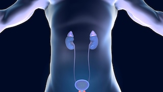 prostatakrebs untersuchung: Symbolbild einer Prostata