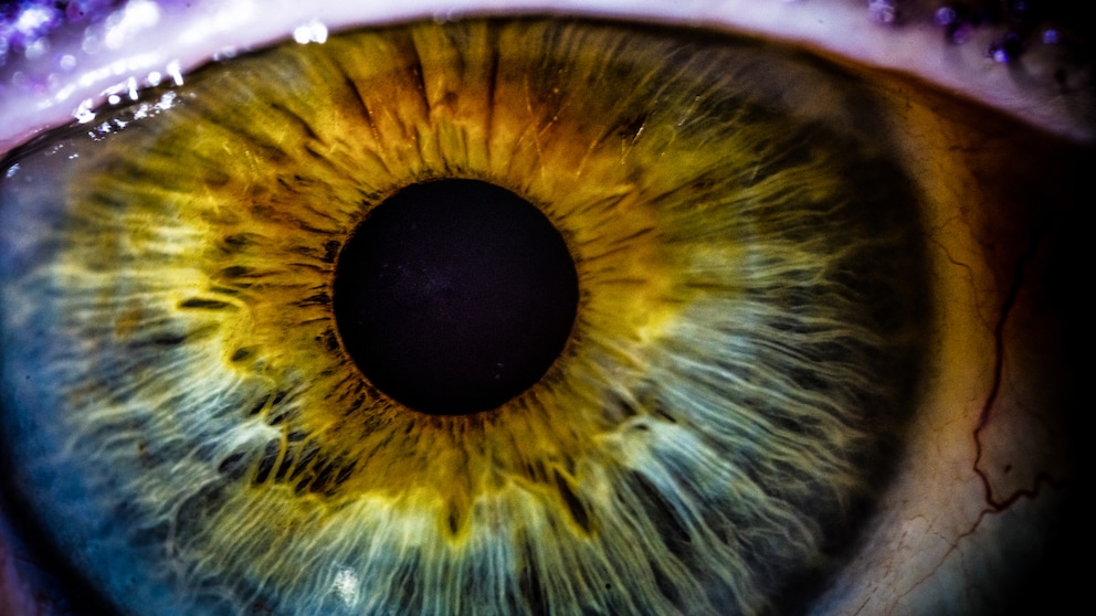 Close-up vom menschlichen Auge