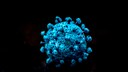 Omikron Coronavirus Coumputersimulation