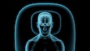 Schlafdauer geistig fit: X-Ray Schlaf