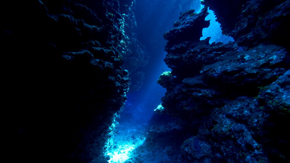 Tiefseewasser Gesundheit: Meer
