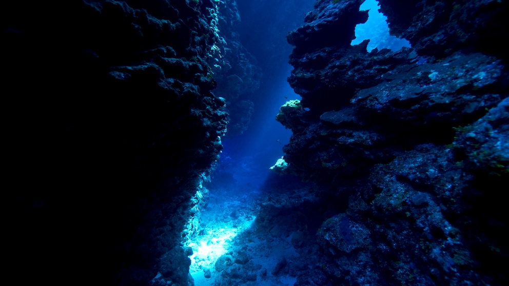 Tiefseewasser Gesundheit: Meer