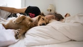 Haustier Bett schlaf: Frau mit einem Hund im Bett