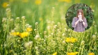 Hypnosetherapie Allergie: Heuschnupfen